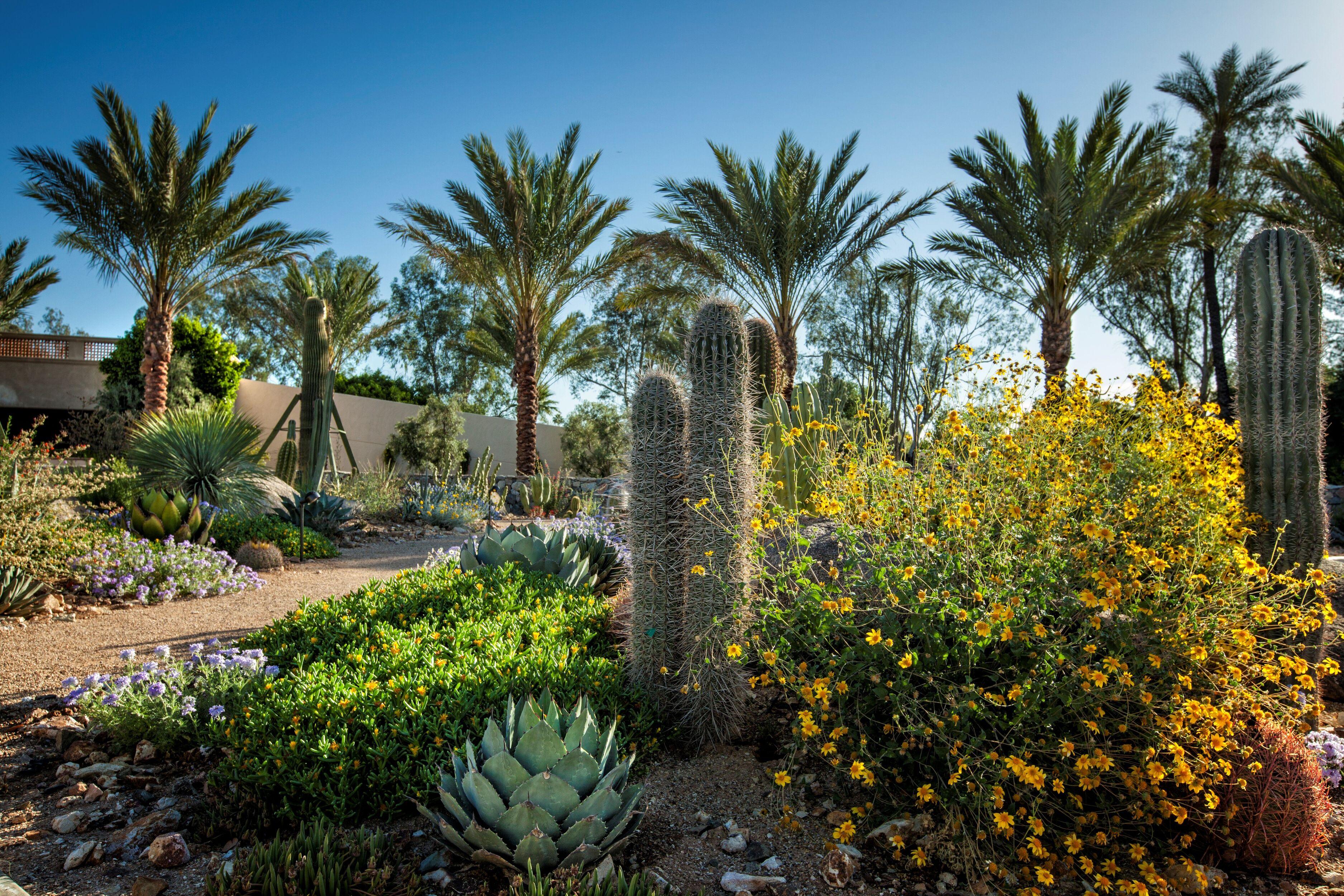 The Scottsdale Resort & Spa, Curio Collection By Hilton Extérieur photo